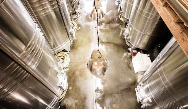 La cave de l'Arjolle